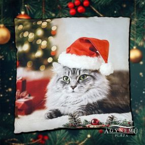 Karácsonyi cica díszpárna, 45x45 cm